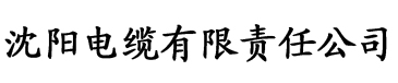 香蕉视频性二区电缆厂logo